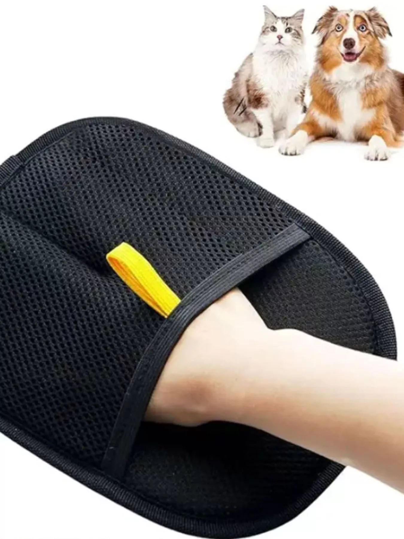 fd316dad-9d8a-4cc6-8565-d07af7bc727c-Max-Origin